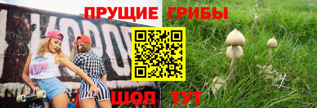 Ишимбай  Псилоцибиновые грибы MAGIC MUSHROOMS  Вход с VPN  Псилоцибиновые грибы мицелий 