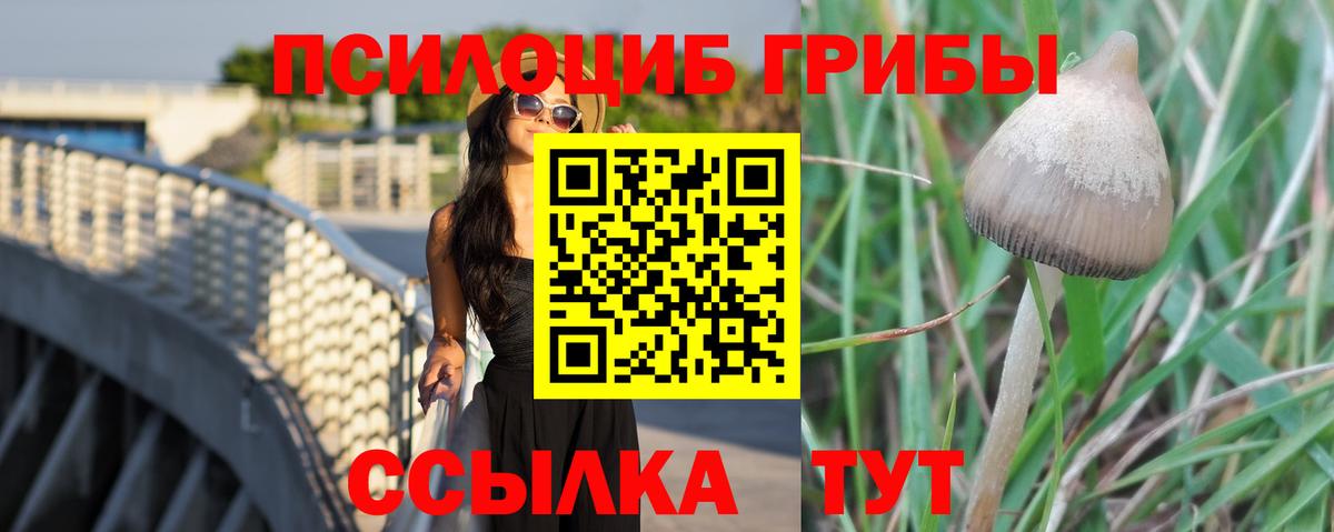 Псилоцибиновые грибы GOLDEN TEACHER Ишимбай